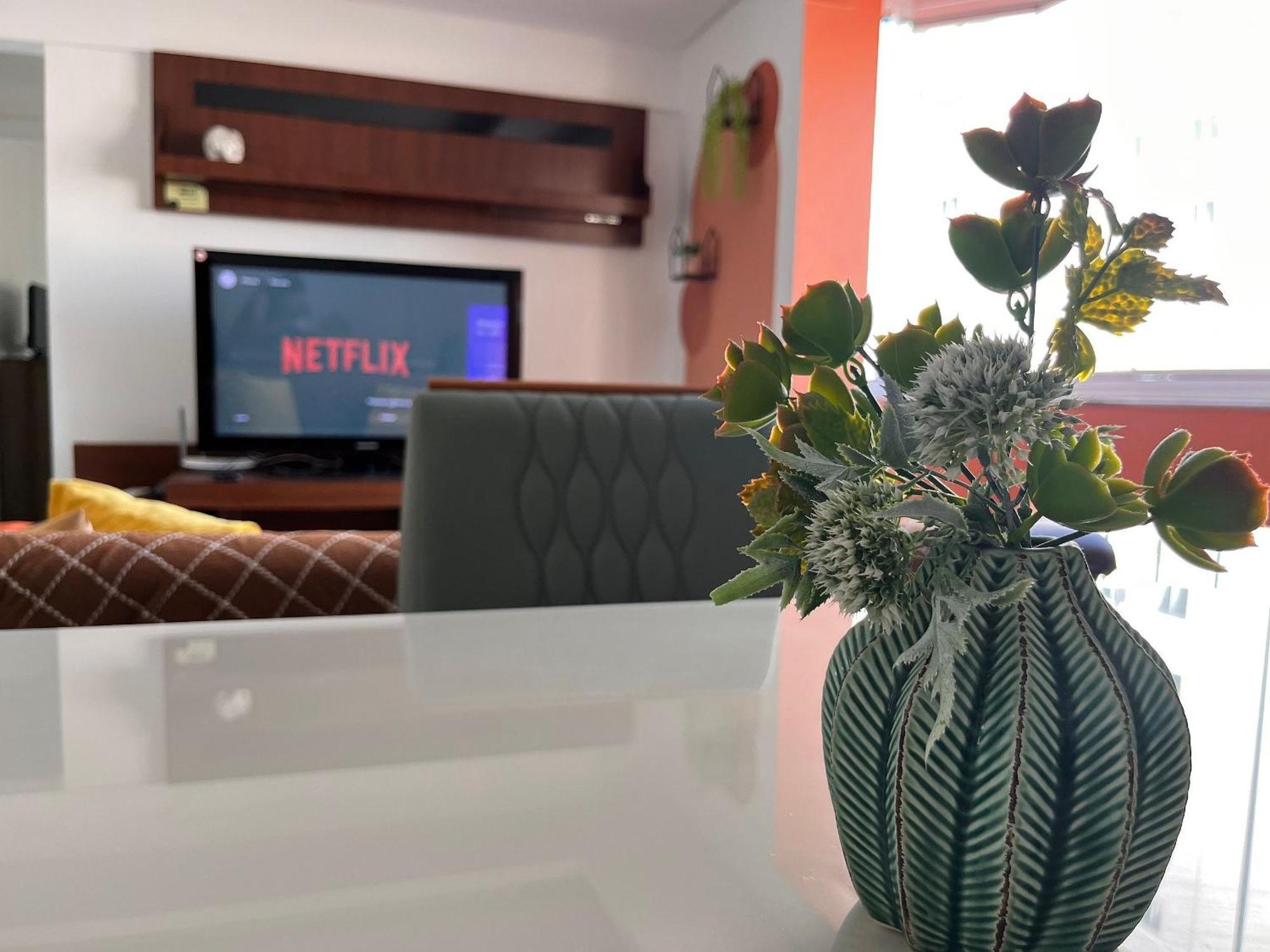 Curta! |197| Ape 2 Quartos Netflix * Balneario Camboriu